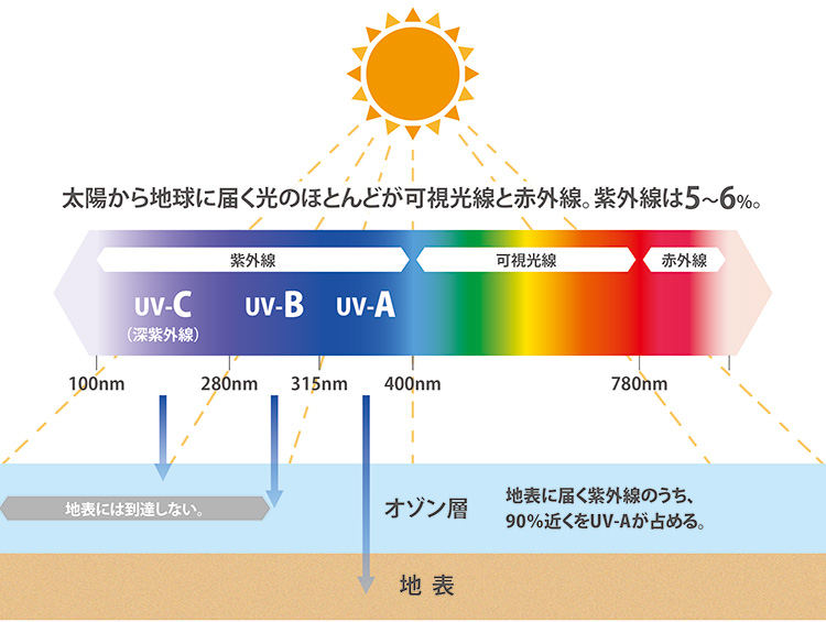 UV-C除菌空気清浄機｜SANKAの家電｜株式会社SANKA