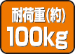 耐荷重（約）100kg